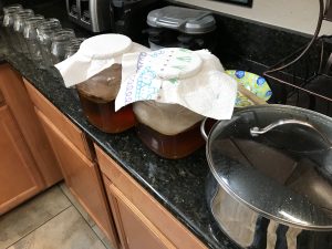 Kombucha ready to harvest